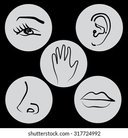 Hand-drawn illustration of the five senses