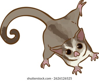 A hand-drawn illustration of a flying squirrel looking up.
