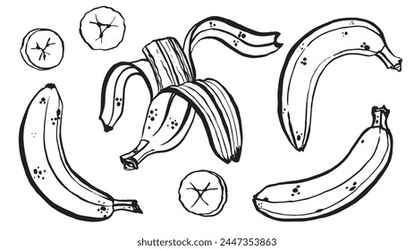 Hand-drawn illustration of fruit bananas. Bananas in the peel, peeled, sliced. Vector set, black graphics on a white background