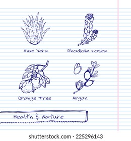 Handdrawn Illustration - Health and Nature Set. Collection of Herbs. Natural Supplements. Aloe Vera, Rhodiola Rosea, Orange Tree, Argan