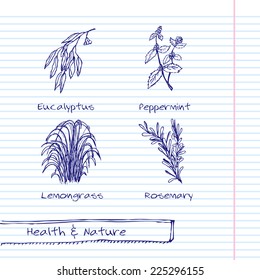 Handdrawn Illustration - Health And Nature Set. Collection Of Herbs. Natural Supplements. Lemongrass, Eucalyptus, Peppermint, Rosemary