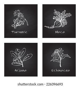 Handdrawn Illustration - Health and Nature Set. Collection of Herbs on Black Chalkboard. Natural Supplements. Turmeric, Maca, Arjuna, Echinacea