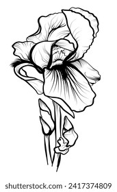ilustración a mano de ilustración vectorial de flores de iris