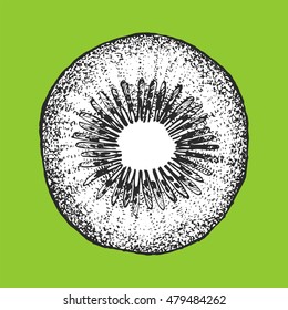 Hand-drawn illustration of Kiwi. Vector