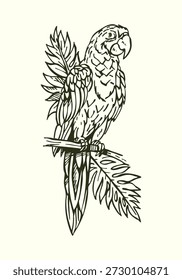 Ilustração desenhada à mão de uma arara.	