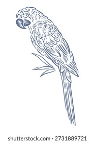 Handgezeichnete Illustration eines Aras.	