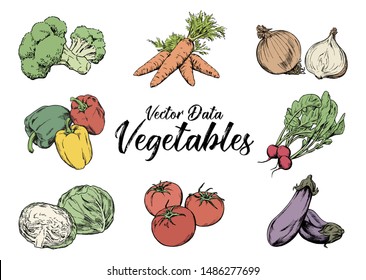 Hand-drawn illustration material: vegetable set, pen drawing