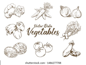 Hand-drawn illustration material: vegetable set, pen drawing