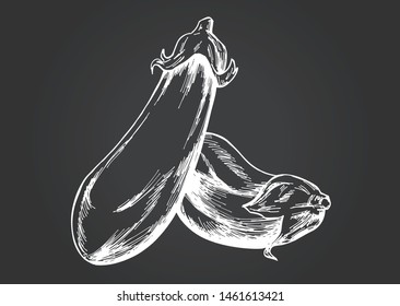 Hand-drawn illustration material: vegetables, eggplant