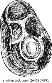 Hand-drawn illustration of a meat steak with bone details  