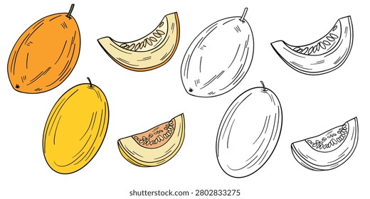 Hand-drawn illustration of melon in color and black white outline. Whole melon, sliced melon, seeds, and natural fruit textures. Soft orange, yellow, green, and cream tones, outline kids coloring pages and educational activities
