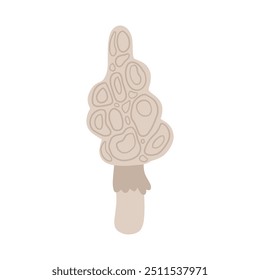 Hand-drawn illustration of a morel mushroom, ideal for articles on foraging, gourmet cooking, and wild edible fungi. Perfect for content focused on organic, natural food.