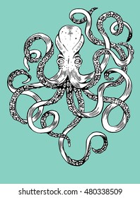 Hand-drawn illustration Octopus