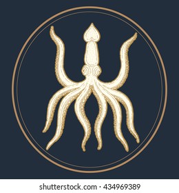 Hand-drawn illustration octopus vector