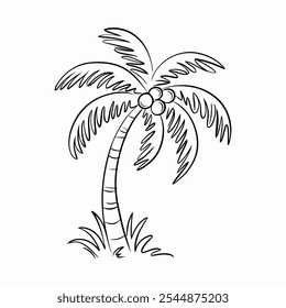 Hand-drawn illustration of a palm tree with coconuts, perfect for tropical designs, summer themes, and vacation-related projects.