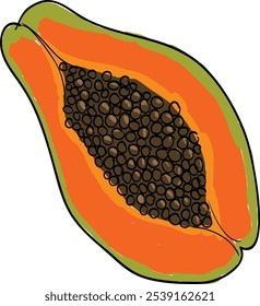 A handdrawn illustration of a papaya slice, showcasing its orange flesh, black seeds, and green skin. The image is stylized with a simple, cartoonish aesthetic.