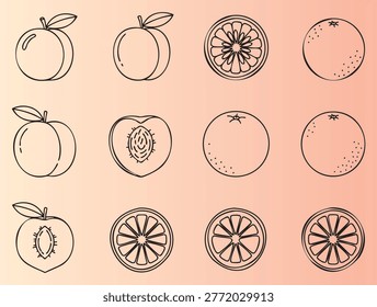 Handdrawn illustration of peaches and oranges with crosssections and whole views in minimalist style
