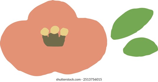 Hand-drawn illustration of pink camellia japonica flower