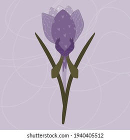 A hand-drawn illustration of a purple crocus with hands in vector format 