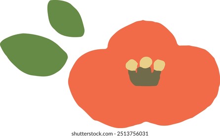 Hand-drawn illustration of red camellia japonica flower