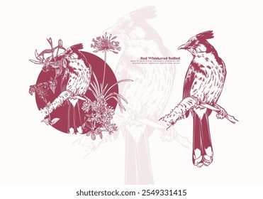 hand-drawn illustration of a Red Whiskered Bulbul, adorned with intricate floral accents