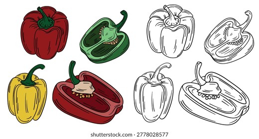 Hand-drawn illustration set of peppers in color and black white outline. bell peppers with organic shapes and natural textures. red, yellow, orange, and green peppers, kids coloring pages and educatio