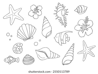 Hand-drawn illustration set of various seashells