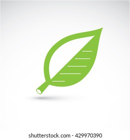 Hand-drawn illustration of simple beech tree leaf isolated. Green foliage, spring herb. Vector botanical symbol can be used as design element in ecology conservation theme.