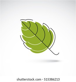Hand-drawn illustration of simple hazel tree leaf isolated. Green foliage, spring herb. Vector botanical symbol can be used as design element in ecology conservation theme.