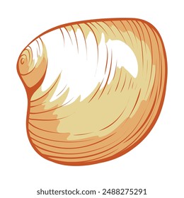 A hand-drawn illustration of a single clam shell in a light orange and white color scheme. The shell is closed and viewed from the side.