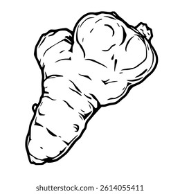 Hand-Drawn Illustration Of A Single Ginger Root