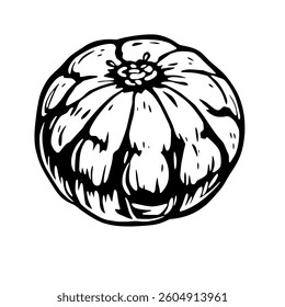 Hand-Drawn Illustration Of A Single Round Citrus Fruit