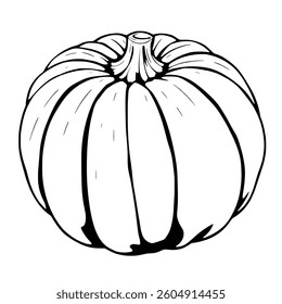 Hand-Drawn Illustration Of A Single Round Pumpkin