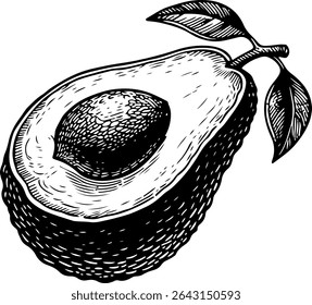Ilustração desenhada à mão de um abacate fatiado com uma semente e folhas	