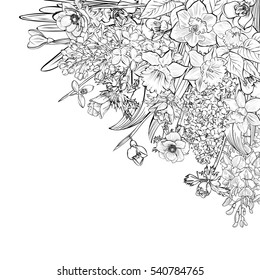 hand-drawn illustration of spring primroses. Spring background with spring flowers, wisteria, anemones, snowdrops, daffodils. Vector illustration