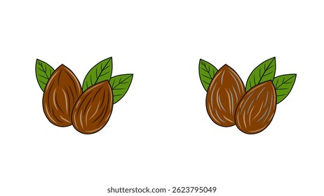 Hand-drawn illustration of three brown almonds with green leaves on a white background. Natural and organic food concept.