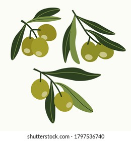 Hand-drawn illustration of three olive branches. Colored flat cartoon vector illustration isolated on beige background. Concept of nature, healthy eating, farm vegetables, natural oils.