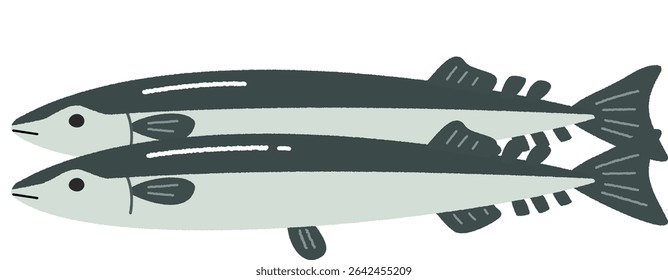 Hand-Drawn Illustration of Two Pacific Saury Fish
