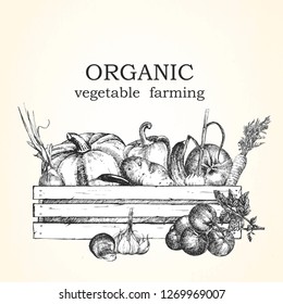 Hand-drawn illustration of vegetables in box. Vector