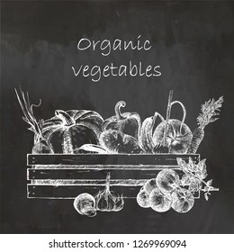 Hand-drawn illustration of vegetables in box. Vector