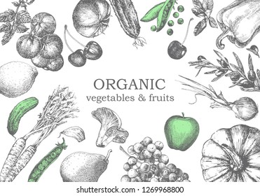 Hand-drawn illustration of vegetables and fruits. Vector