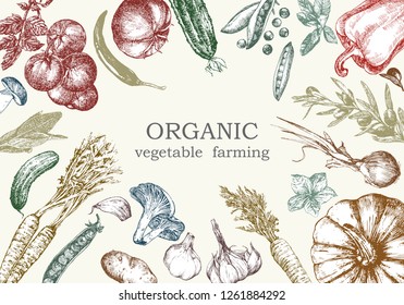 Hand-drawn illustration of vegetables, vector