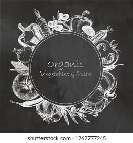 Hand-drawn illustration of vegetables. Vector