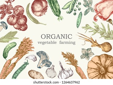 Hand-drawn illustration of vegetables, vector