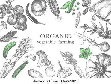 Hand-drawn illustration of vegetables, vector