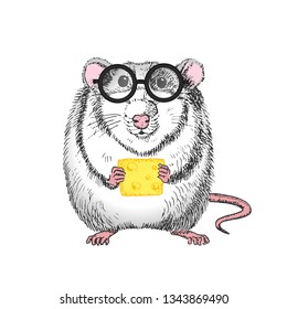 Hand-drawn illustration of a white rat wearing glasses with diopters and cheese
