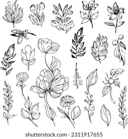 hand-drawn illustrations, and beautiful botanical element, Delicate Flowers Print. artistic flowers set.
Botanical element, botanical line drawing, black outline for print and crafting.