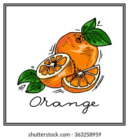 Hand-drawn illustrations. Card with fruit, oranges. Seamless pattern.