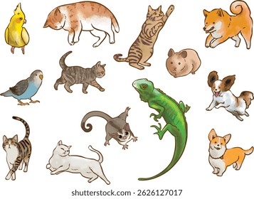 Ilustrações desenhadas à mão de gatos, cães, pássaros, esquilos voadores, hamsters e lagartos.