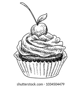 Hand-drawn illustrations of dessert